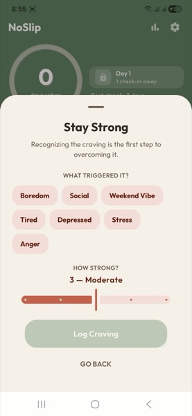 NoSlip craving log — Stay Strong, identify what triggered the alcohol craving