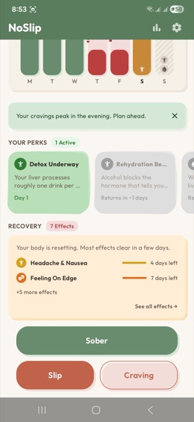 NoSlip showing active perks and alcohol recovery effects